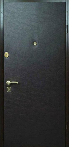 Стальная дверь Винилискожа №1