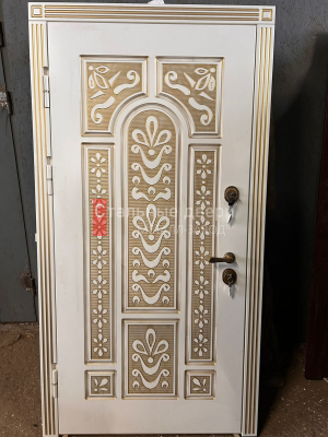 Фото двери №335